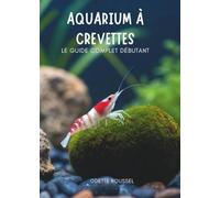 Aquarium À Crevettes: Le Guide Complet Débutant