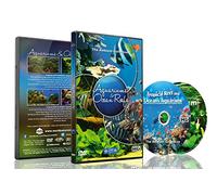 Aquarium DVD - 2 DVD SET Aquariums & Ocean Reefs with Colorful Corals & Fishes