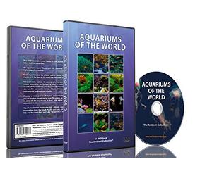 Aquarium DVD - Aquariums of the World with 12 Fish Tanks in HD