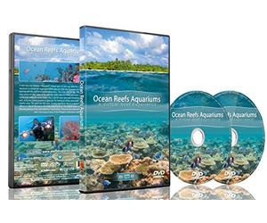 Aquarium DVD - Ocean Reef Aquarium - A Relaxing Virtual Experience in Underwater World