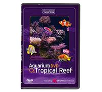 AQUARIUM DVD | TROPICAL REEF with 4K ULTRA HD Download in Natural Sound and Relaxing Music