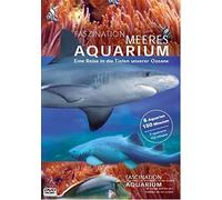 Aquarium - Faszination Meeresaquarium