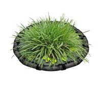 Aquarium Floating Divider, Island Plant Guard, 23.62in Pond Mesh Ring Frame, Prevents Spread of Duckweed, Portable Maintains Tank Order for Indoor, Water Features
