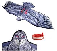Aquila Rapace Volante con Ali Realistiche