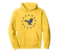 Aquila Senza Paura - Tredici Stelle della libertà Americana Felpa con Cappuccio