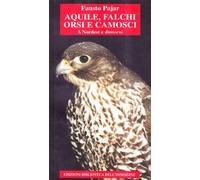 Aquile, falchi, orsi, camosci a nordest e dintorni