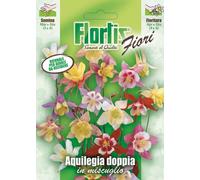 Aquilegia Mix