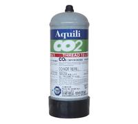 Aquili Bombola Co2 300gr Usa e Getta 10x1mm per Small System
