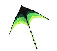 Aquilone, Prairie Kite Da 1,6 M Con Bobina Da 200 M, Facile Da Pilotare, Per Principianti All'aperto Principianti