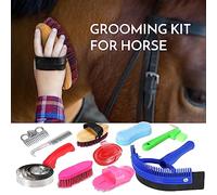 aqxreight 10-in-1 Set di Strumenti per Toelettatura del Cavallo Kit di Pulizia Pettine per Coda della Criniera Massaggio Spazzola al Curry Raschietto per Il Sudore Pick per Zoccoli Pettine al Curry
