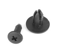 aqxreight 100 Rivetti in Plastica per Auto, con Perno di Spinta Diametro Foro 6 Mm Elementi di Fissaggio per Gonna Laterale Portiera Paraurti, con Attacco Universale per Moto Autobus