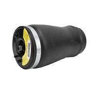 aqxreight 37121095580 Molla di Sospensione Posteriore Destra di Ricambio per Serie X5 E53 3.0i 2001 2006, Compatibile con OEM 37126750356, Molla Airmatic Posteriore Destra