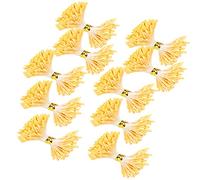 aqxreight 900pcs Stame Artificiale Gypsum O Colore Simulazione a Doppia estremità Bouquet Fare Accessori 900pcs Stame Artificiale Gypsum O Colore Simulazione a Doppia Fine Bouquet. (3mm (13#))