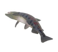 aqxreight Figurina di Animali Marini di Sicurezza in PVC Oceano Modello Animale Educativo Interattivo Pesce Oceano Giocattolo per la Scuola Materna Domestica PL127 1805 Impara a Capire Aiutando il