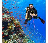 aqxreight Puntatore in Lega di Alluminio Immersioni Subacqueo con Misurazione e Cordino (#4)