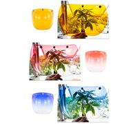 aqxreight Visiera per Casco Aperto Visiera per Casco per Moto a Bolla Scudo a Bolla Caschi per Moto Accessori La Lente Estremamente Tenace è Rotta con Luce Ultravioletta a Scatto e Tre Speciali (BLUE)