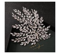 Aqxyedc Ornamenti lampeggianti con strass perla perla da sposa clip for capelli accessori gioielli matrimonio elegante cristallo sposa pettine for capelli pettine abbigliamento wanglan
