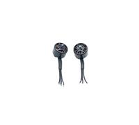 Aqxyki Il motore è adatto for pezzi di ricambio for la manutenzione dei droni e accessori for motori a braccio(2Pcs Black CCW)
