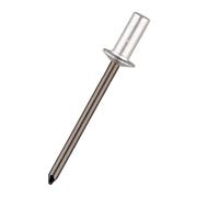 Aqxypas 30/50 pz Rivetti Ciechi in Alluminio A estremità Chiusa Sigillata A Tenuta Stagna 3.0 3.2 4.0 4.8mm Rivetti Impermeabili (Size : 30Pcs, Color : 6.4x13mm)