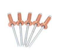 Aqxypas Rivetti ciechi in Rame da 30/50 Pezzi, Rivetti in Acciaio Rame Bronzo di Tipo Aperto con Testa a Cupola (Size : 50Pcs, Color : 4.0x20 mm)