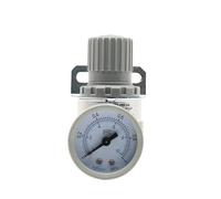 AR2000 1/4 "Filettatura Valvola di Riduzione Regolatore di Pressione del Compressore D'aria Pneumatico 4mm 6mm 8mm 10mm 12mm Raccordi(AR2000 White,Filter)