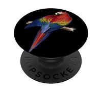 Ara scarlatta, appollaiato, su, uno, ramo, illustrazione PopSockets PopGrip Adesivo