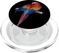 Ara scarlatta, appollaiato, su, uno, ramo, illustrazione PopSockets PopGrip per MagSafe
