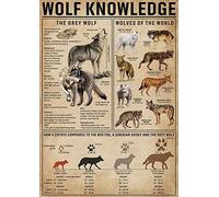 ARA STEP - Poster vintage della conoscenza degli animali da cucina, senza cornice I (297 x 420 mm / 11,7 x 16,5 pollici, Wolf Knowledge)
