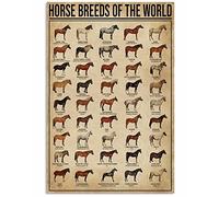 Ara Step Retro Knowledge Art Poster Prints 1 (tutte le razze di cavalli, 297 x 420 mm / 11,7 x 16,5 pollici)