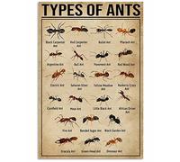Ara Step Types Of Art Poster Prints 2 (tipi di formiche verticali Art Poster per interni decorazione domestica, regalo di Natale, 297 x 420 mm