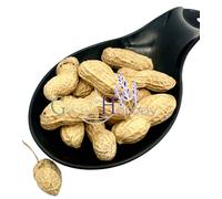 Arachidi sgusciate non salate e tostate 30 g - 1,9 kg Arachis Hypogaea