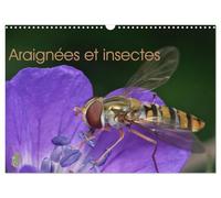 Araignées et insectes (Calendrier mural 2025 DIN A3 vertical): Un calendrier sur les araignées et les insectes qui nous entourent