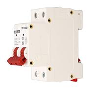 Aramox Interruttore Automatico DC PA66 Interruttore Automatico Miniaturizzato 2P DC 500V 6000A Protezione da Cortocircuito Estinzione per Energia Solare Fotovoltaica per e Sistemi (32A)