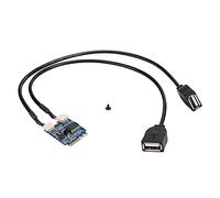 Aramox M.2 NGFF su Scheda Riser USB, Scheda di Espansione Desktop Pci E, 2 Adattatore di Porte USB2.0, Supporto WinXP Vista 7 8 32 Bit a 32 Bit, per Schede Madre o Notebook con M. Key A-E