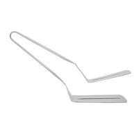 Aramox Pinze per Alimenti in Acciaio Inossidabile con Clip per Bistecca, 24,8 X 7,4 Cm, Spatola per Pizza, Impugnatura Lucidata a Specchio, per Barbecue, Grigliate, Servizio, Pane, Bistecca, Pesce