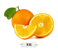 ARANCE DOLCI E SUCCOSE - 18 kg - Made in Italy - NON TRATTATE CHIMICAMENTE E GARANTITE BUCCIA EDIBILE - Prodotte in Calabria - Italia