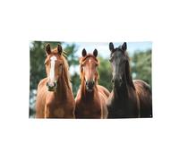 Arazzo orizzontale stampato con animali cavalli, resistente bandiera per interni ed esterni per confraternità e festival