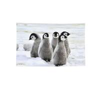 Arazzo orizzontale stampato con pinguino imperatore, bandiera durevole per interni ed esterni, per fraternità e festival