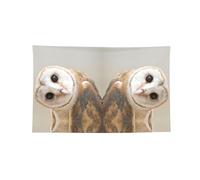 Arazzo orizzontale stampato divertente con gufo, bandiera durevole per interni ed esterni per fraternità e festival