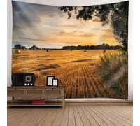 Arazzo scenico in poliestere, arancione risaia, arazzo da appendere alla parete, 260 x 240 cm