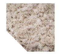 Arba Artificiale Piante verdi artificiali Muschio Erba Mini Paesaggio Artigianato fai da te Vita Erba finta for la decorazione della casa da giardino 500/1000/100g(Beige,100g)