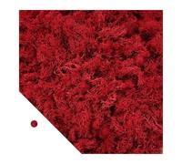 Arba Artificiale Piante verdi artificiali Muschio Erba Mini Paesaggio Artigianato fai da te Vita Erba finta for la decorazione della casa da giardino 500/1000/100g(Red,500g)