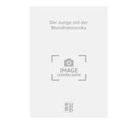 Arbex-Der Junge mit der Mundharmonika