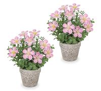 Arborus Fiori artificiali da 25 cm, in vaso rustico, 2 pezzi, piccole piante finte da interno in vaso, fiori di oxalis artificiali decorativi per casa colonica, davanzale, decorazione per tavolo di