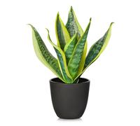 Arborus Pianta artificiale a serpente in vaso nero da 28 cm, piccola pianta artificiale di sansevieria in vaso pianta artificiale di serpente giallo per decorazione di interni