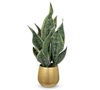 Arborus Piante artificiali in vaso dorato in metallo, canapa artificiale da 46 cm, piante artificiali come piante verdi, canapa arco, piante da interno, piante decorative per soggiorno, camera da