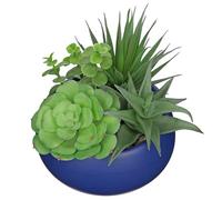 Arborus Piante grasse artificiali da 17 cm, in vaso, per interni, in vaso di ceramica blu, pianta finta realistica in vaso, per davanzale della finestra, tavolo da ufficio, casa, bagno, soggiorno,