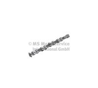 Arbre A Cames Per Peugeot 207 307 1007 206 Citroën C3 I C4 C2 KOLBENSCHMIDT