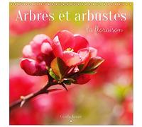 Arbres et arbustes la floraison (Calendrier mural carré 2026 30 x 60 cm (ouvert)) Calendrier double avec une page pour vos prises de notes