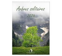 Arbres solitaires (Calendrier mural 2026 DIN A3 horizontal), CALVENDO calendrier mensuel: Un hommage poétique à la majesté et à la force tranquille ... intemporels de la nature et des saisons.